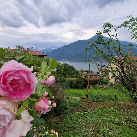 Villetta Con Giardino Privato Cremia Bagian luar foto